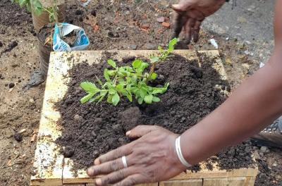 Educação Ambiental