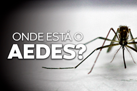 banner DVS Aedes Egipty