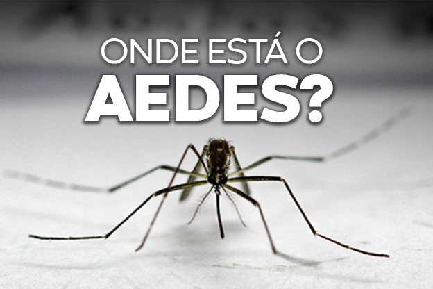 Mosquito Aedes aegypti, transmissor da dengue. Visite o site Onde Está o Aedes?
